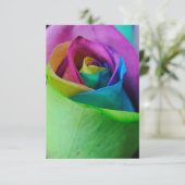 Regenboog Roos 5 Kaart (Staand voorkant)