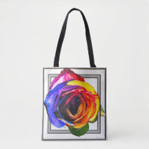 Regenboog Roos  