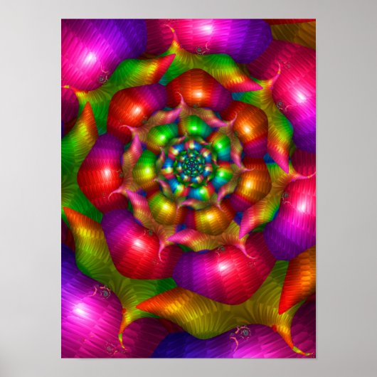 Regenboog Roos Poster (Voorkant)