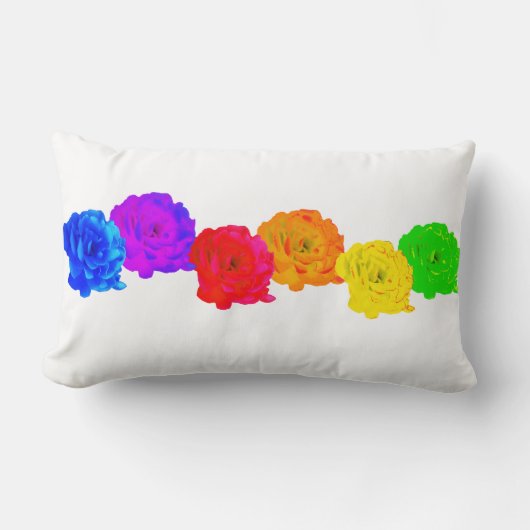 Regenboog Rozen Kussen (Voorkant)