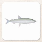 Regenboog Smelt Vierkante Kartonnen Onderzetter (Voorkant)