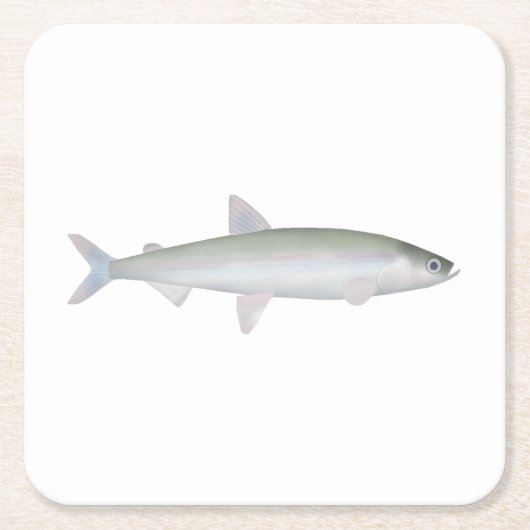 Regenboog Smelt Vierkante Kartonnen Onderzetter (Voorkant)