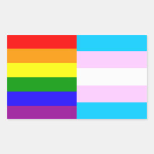 Regenboog/trans pride vlaggen sticker