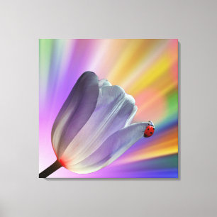 Regenboog, Tulpen en Ladybug Canvas Afdruk