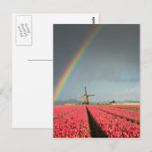 Regenboog, tulpen en verticaal briefkaart van de w (Voorkant / Achterkant)