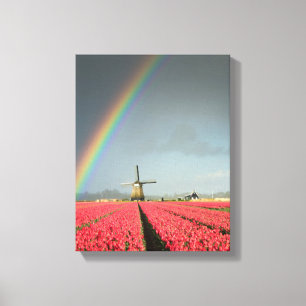 Regenboog, tulpen en verticale doek voor de windmo canvas afdruk
