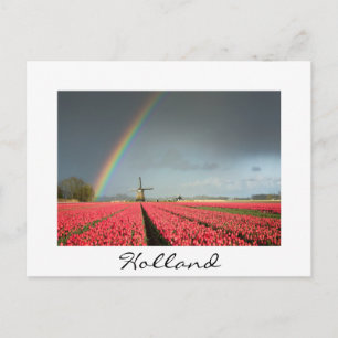 Regenboog, tulpen en windmolen in het Holland-brie Briefkaart