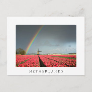 Regenboog, tulpen en windmolen Nederlands briefkaa Briefkaart