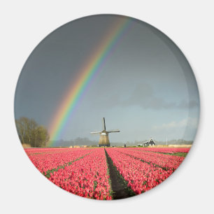 Regenboog, tulpen en windmolen ronde magneet