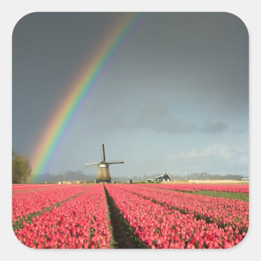 Regenboog, tulpen en windmolen sticker (Voorkant)