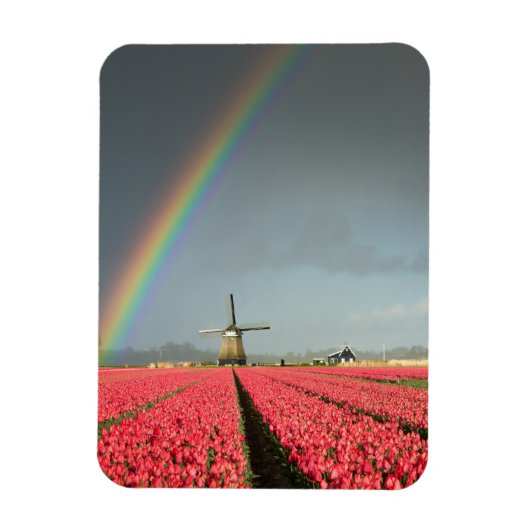 Regenboog, tulpen en windmolen verticale magneet (Verticaal)