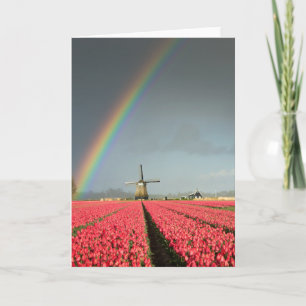 Regenboog, tulpen en windmolen wenskaart kaart