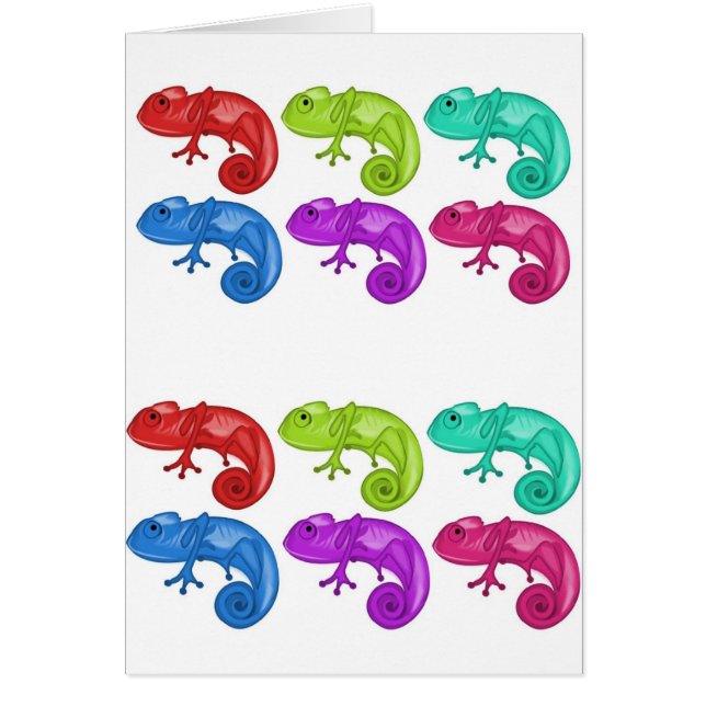 Regenboog van Chameleons (Voorkant)