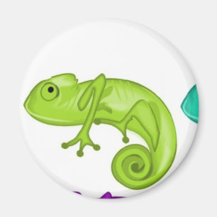 Regenboog van Chameleons Magneet