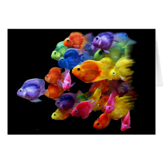 Regenboog van de roodbaars