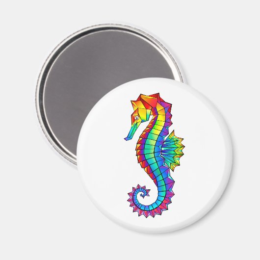 Regenboog Vlakke Zeepaard Magneet (Voorkant / Achterkant)