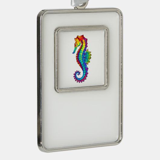 Regenboog Vlakke Zeepaard Verzilverd Kader Ornament (Rechts)
