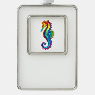 Regenboog Vlakke Zeepaard Verzilverd Kader Ornament