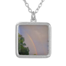 regenboog