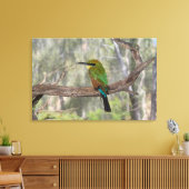 Regenboogbijeneter, Australië Canvas Afdruk (Insitu (Woonkamer))