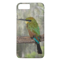 Regenboogbijeneter vogel, Australië
