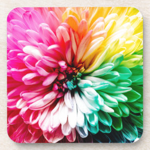 regenboogbloem bier onderzetter