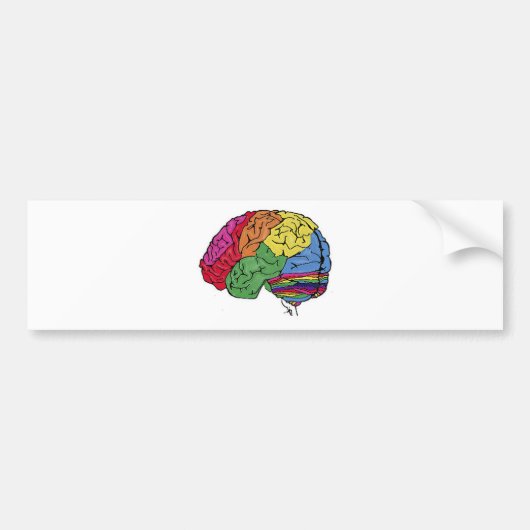 Regenboogbrain Bumpersticker (Voorkant)