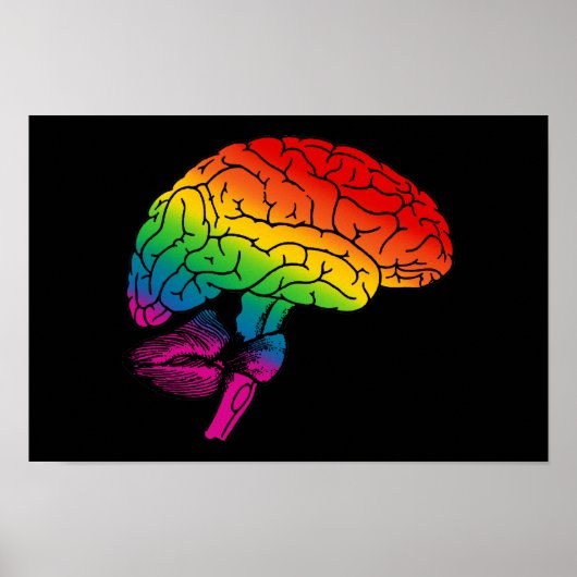 Regenboogbrain Poster (Voorkant)