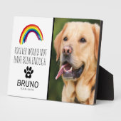 Regenboogbrug | Aandenken aan huisdier Fotoplaat (Zijkant)