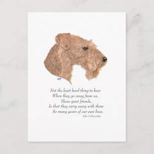 Regenboogbrug Briefkaart