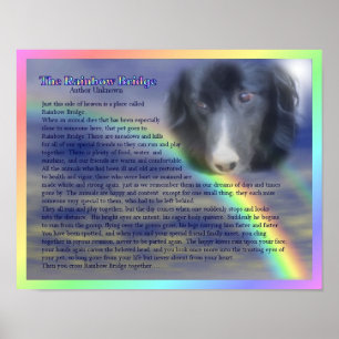 Regenboogbrug Gedicht Huisdier Verlies Herdenking Poster