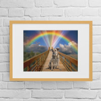 Regenboogbrug Huisdier Herdenking Verlies Aanpasse