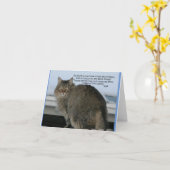 Regenboogbrug - Katten Gedicht sympathie Kaart (Gele Bloem)