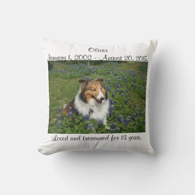 Regenboogbrug Kussen (Voorkant)