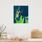 regenboogdane poster (Keuken)