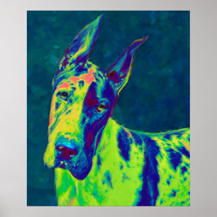 regenboogdane poster
