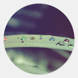 Regenboogdruppels Stickers