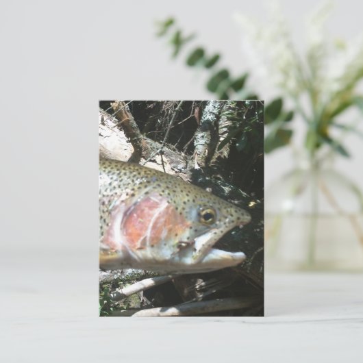 Regenboogforel Briefkaart (Staand voorkant)