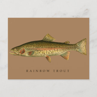  regenboogforel briefkaart