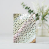 Regenboogforel Briefkaart (Staand voorkant)