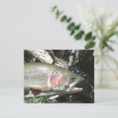 Regenboogforel Briefkaart (Staand voorkant)