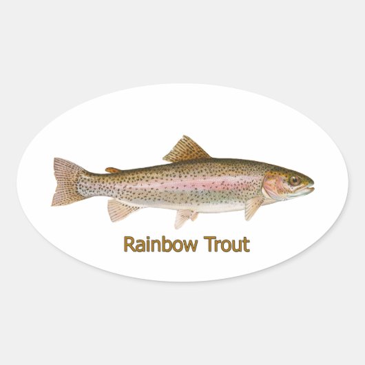 Regenboogforel (met titel) ovale sticker (Voorkant)