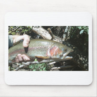 Regenboogforel Muismat