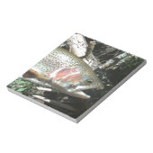 Regenboogforel Notitieblok (Gedraaid)