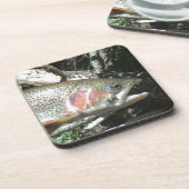 Regenboogforel Onderzetter (Linkerzijde)