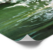 regenboogforel poster (Hoek)