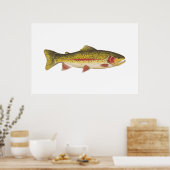 Regenboogforel Poster (Keuken)