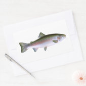 Regenboogforel Rechthoekige Sticker (Envelop)