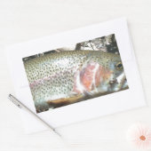 Regenboogforel Rechthoekige Sticker (Envelop)