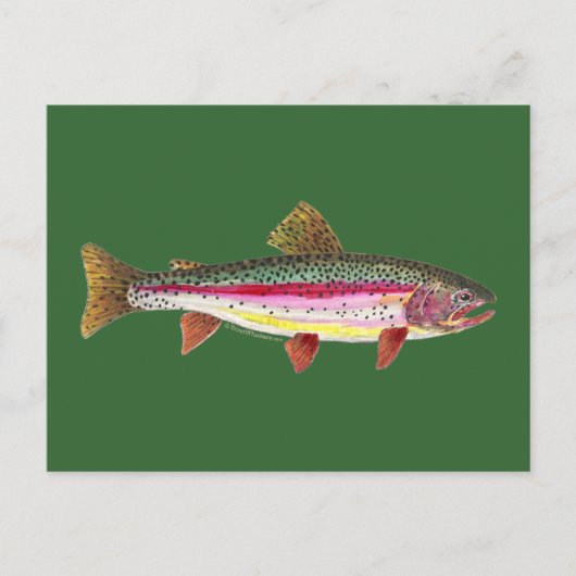 Regenboogforel vis briefkaart (Voorkant)